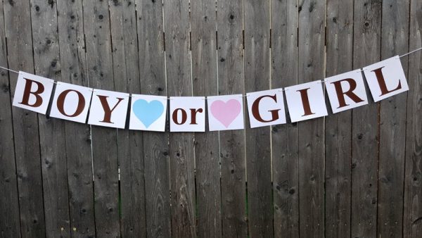 Gender Reveal Banner, Gender Reveal, Gender Reveal Party, Boy or Girl Banner, Gender Reveal Banner, Gender Reveal Party, Item# 1223161009A