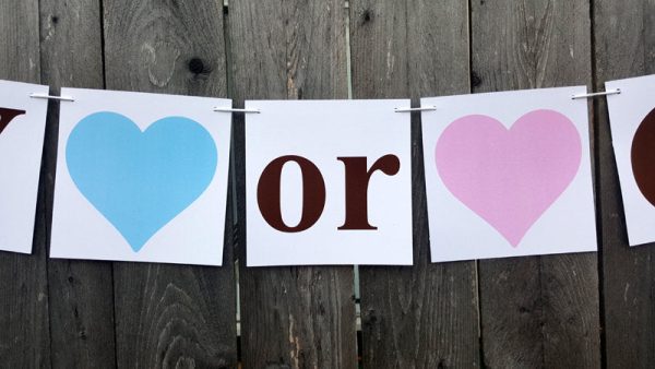 Gender Reveal Banner, Gender Reveal, Gender Reveal Party, Boy or Girl Banner, Gender Reveal Banner, Gender Reveal Party, Item# 1223161009A