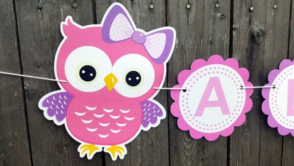Owl Banner - Owl Birthday Banner, Owl Baby Shower Banner - Pink and Purple Owl