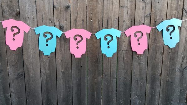 Gender Reveal Banner, Gender Reveal, Gender Reveal Party, Girl / Boy Banner, Gender Reveal Banner, Gender Reveal Party, 218181123A