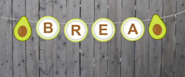 Avocado Banner, Avocado Birthday Banner, Avocado Party Banner, Avocado Garland, Photo Prop