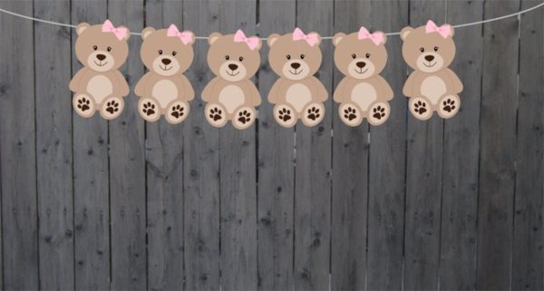 Teddy Bear Goody Bags, Teddybear Goody Bags, Teddy Bear Party Bags, Teddy Bear Favor Bags, Teddy Bear Decorations