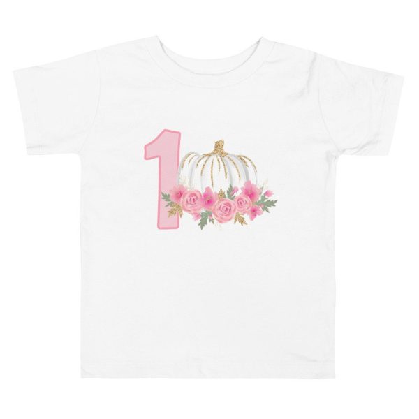 Pumpkin Shirt, 1st Birthday Pumpkin Shirt, 1st Birthday Party Shirt, Fall 1st Birthday Shirt