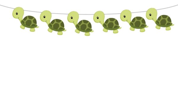 Turtle Goody Bags, Turtle Favor Bags, Turtle Gift Bags