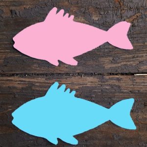 12 Fish Die Cuts, Fish Cutouts, LARGE fish Confetti, DIY Fish, Under the Sea, Die Cuts