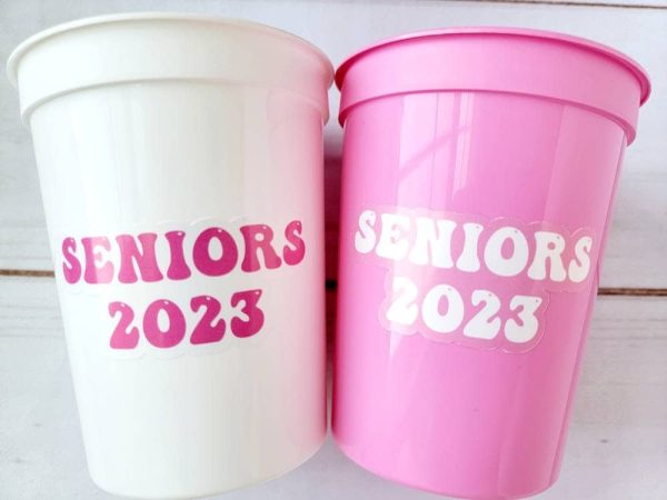 COWGIRL PARTY CUPS - Cowgirl Cups Cowgirl Party Decorations Cowgirl Bachelorette Party Cowgirl Hat Birthday Rodeo Party Cups Let's Go Girls