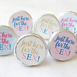180 - GENDER REVEAL STICKERS Gender Reveal Baby Shower Favor Stickers Candy Stickers Pink Blue Baby Shower Stickers Just Here For The Sex