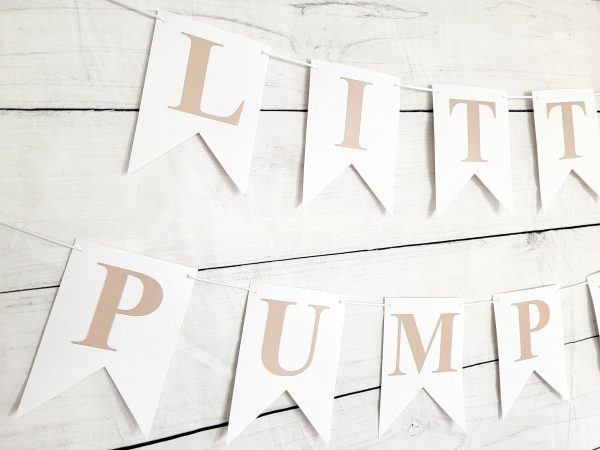 Little Pumpkin Banner, Little Pumpkin Baby Shower, Little Pumpkin Birthday, Pumpkin Banner, Pumpkin Birthday Party