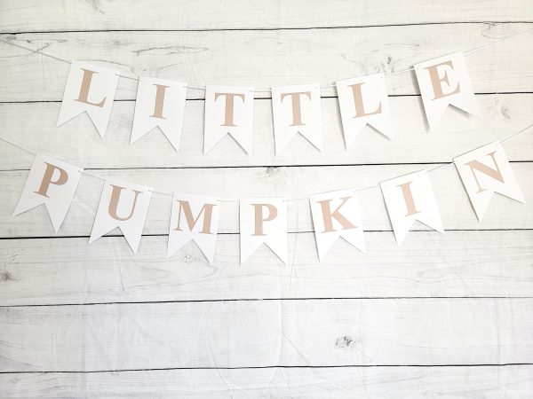 Little Pumpkin Banner, Little Pumpkin Baby Shower, Little Pumpkin Birthday, Pumpkin Banner, Pumpkin Birthday Party