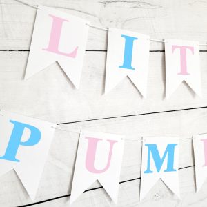Little Pumpkin Gender Reveal Little Pumpkin Banner Little Pumpkin Baby Shower Little Pumpkin Birthday Pumpkin Banner Pumpkin Pink and Blue