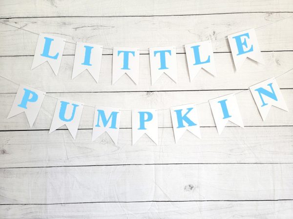Blue Little Pumpkin Banner, Little Pumpkin Baby Shower, Little Pumpkin Birthday, Pumpkin Banner, Pumpkin Birthday Party