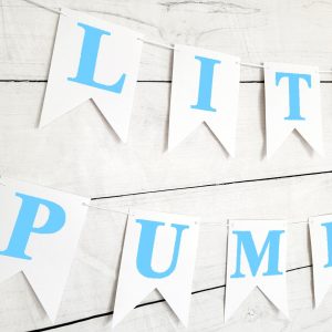 Blue Little Pumpkin Banner, Little Pumpkin Baby Shower, Little Pumpkin Birthday, Pumpkin Banner, Pumpkin Birthday Party