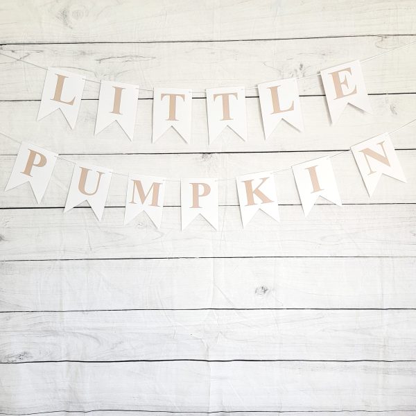 Little Pumpkin Banner, Little Pumpkin Baby Shower, Little Pumpkin Birthday, Pumpkin Banner, Pumpkin Birthday Party