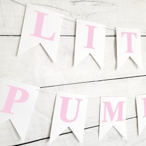 Pink Little Pumpkin Banner, Little Pumpkin Baby Shower, Little Pumpkin Birthday, Pumpkin Banner, Pumpkin Birthday Party