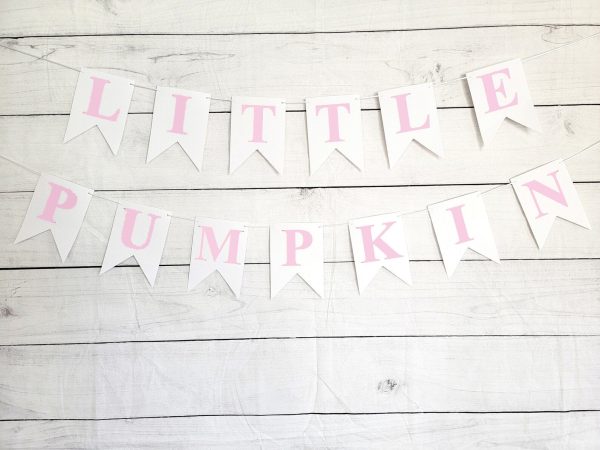 Pink Little Pumpkin Banner, Little Pumpkin Baby Shower, Little Pumpkin Birthday, Pumpkin Banner, Pumpkin Birthday Party