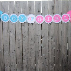 Gender Reveal Banner, Gender Reveal Party, Boy or Girl Banner