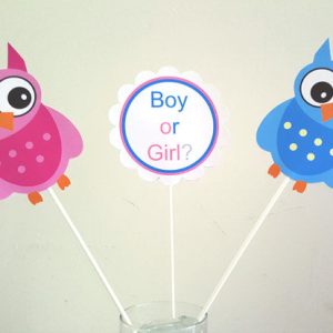 Owl Gender Reveal Centerpiece Sticks