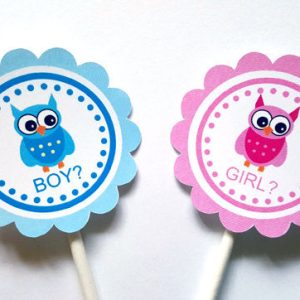Owl Gender Reveal Cupcake Toppers - Blue Boy and Pink Girl Owls - 87161040A
